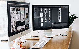 樊振东，继续在德甲打球